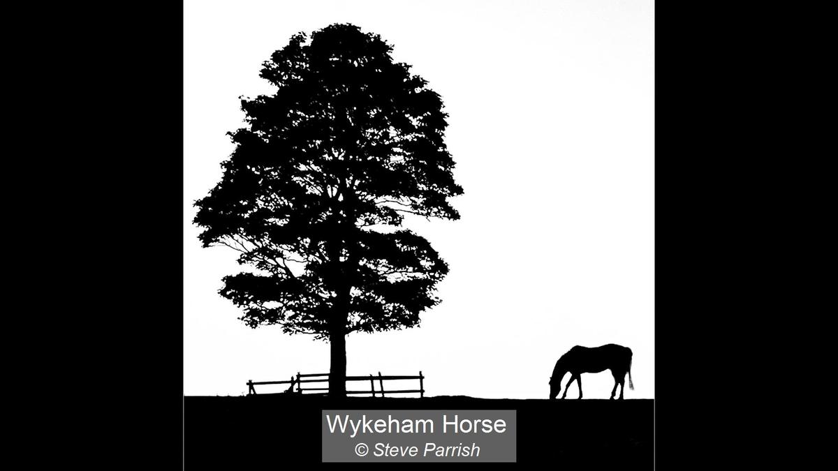 01_Wykeham Horse_Steve Parrish